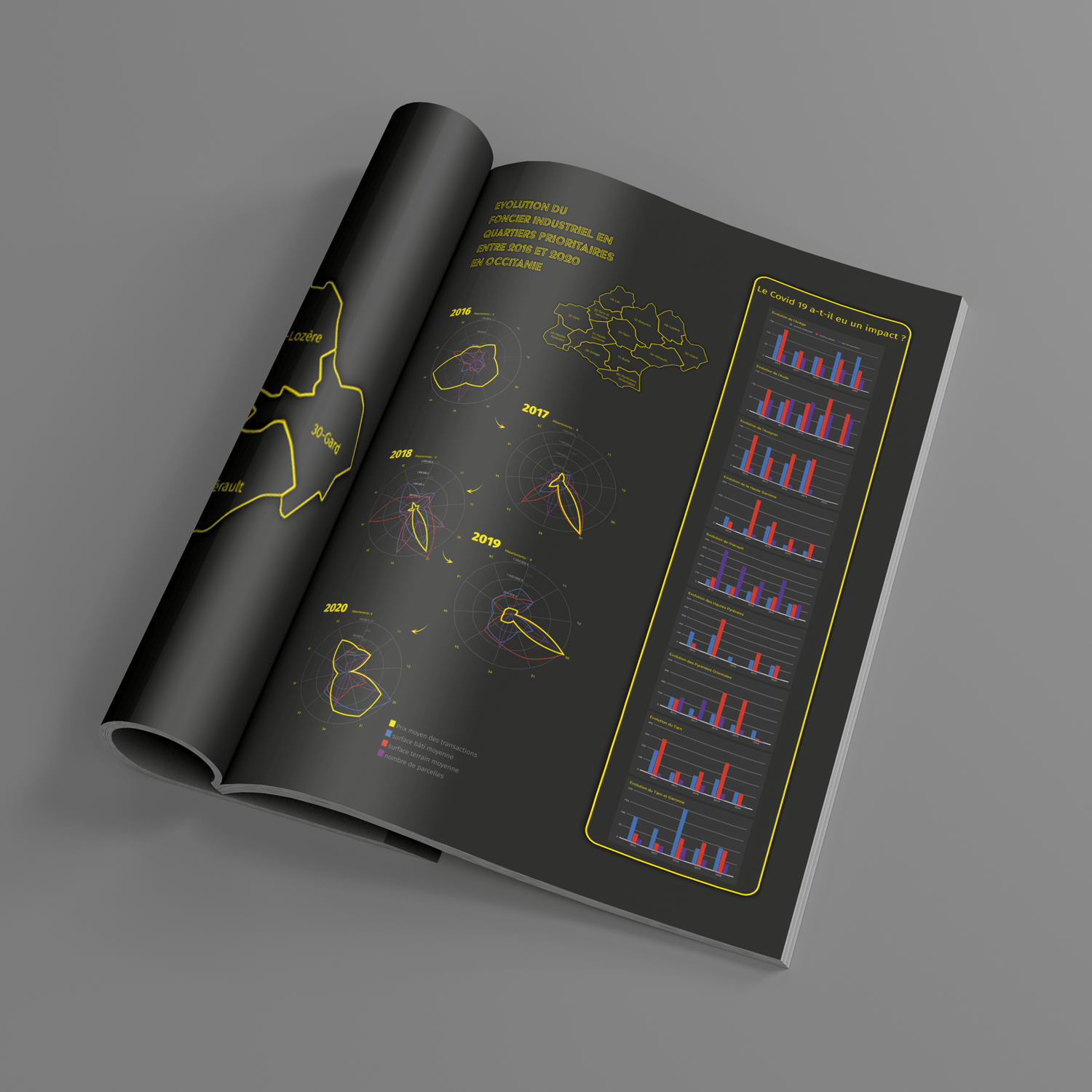 livret de rapport sous forme de dataviz