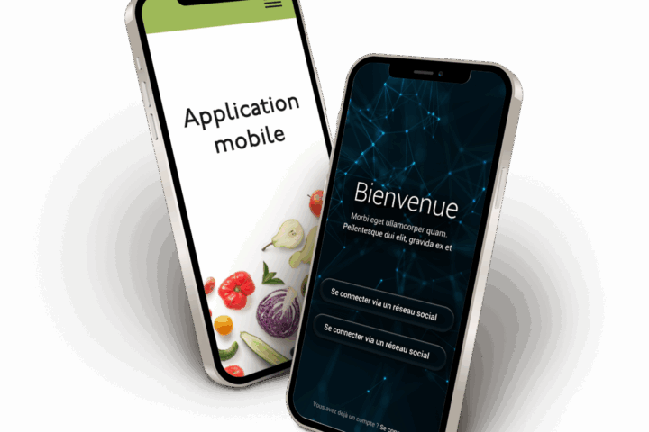 interface sur téléphone portable