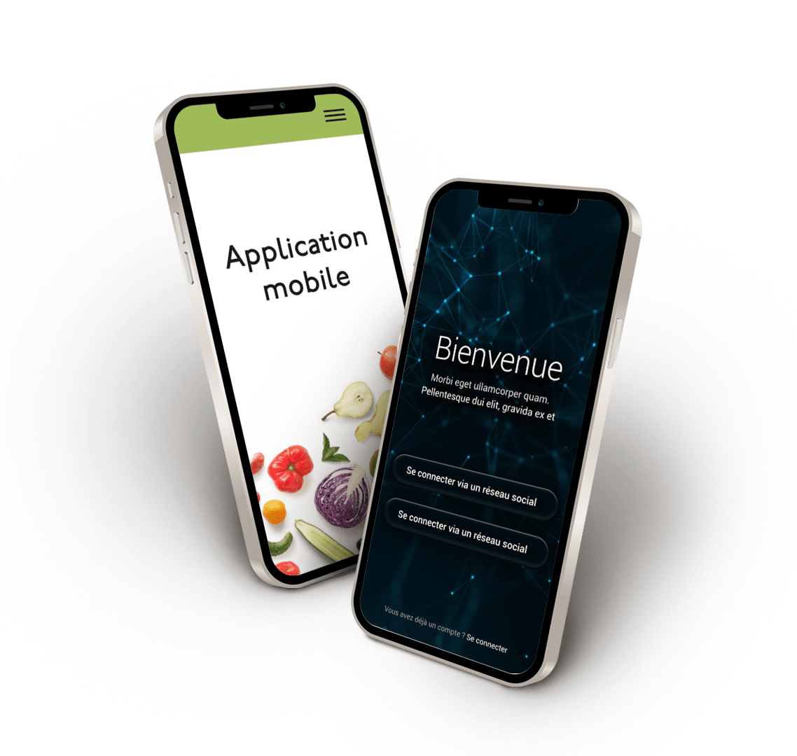 interface sur téléphone portable
